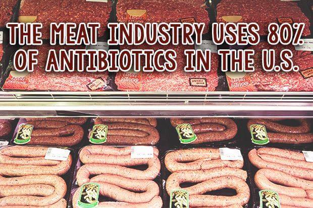 Antibiotics in the meat industry