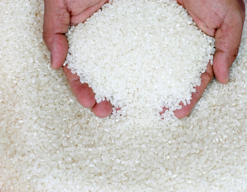 White Rice Hands